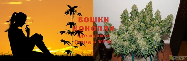 эйфоретик Магадан