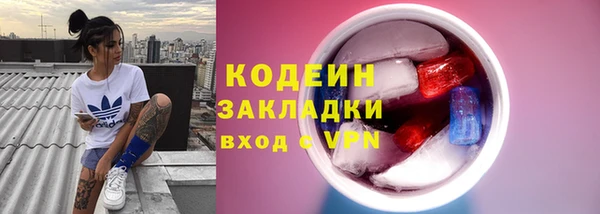 индика Нижний Тагил