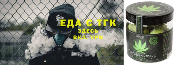 индика Нижний Тагил