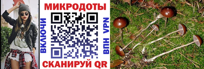 Псилоцибиновые грибы Magic Shrooms  где можно купить   Назрань 