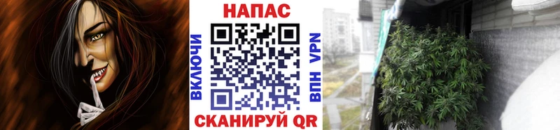 МАРИХУАНА план Назрань